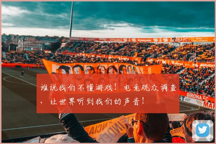 谁说我们不懂游戏!电竞观众调查,让世界听到我们的声音!